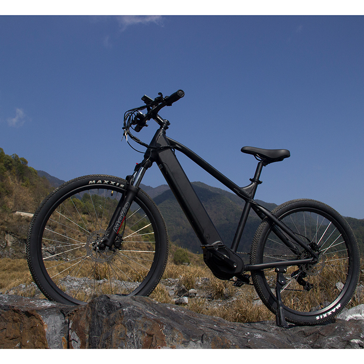 bicycle electric bikeg 750w 1000w motor e-bike