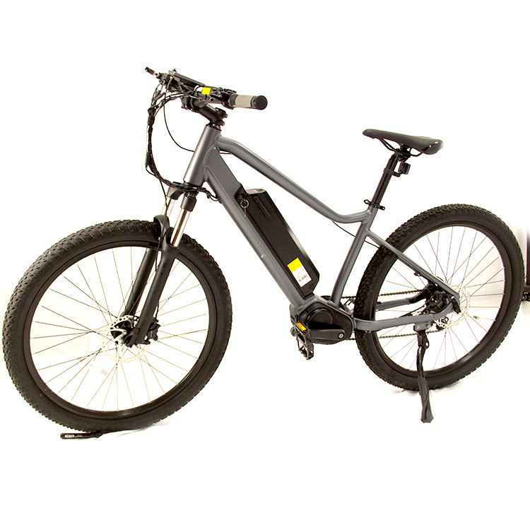 bicycle electric bikeg 750w 1000w motor e-bike