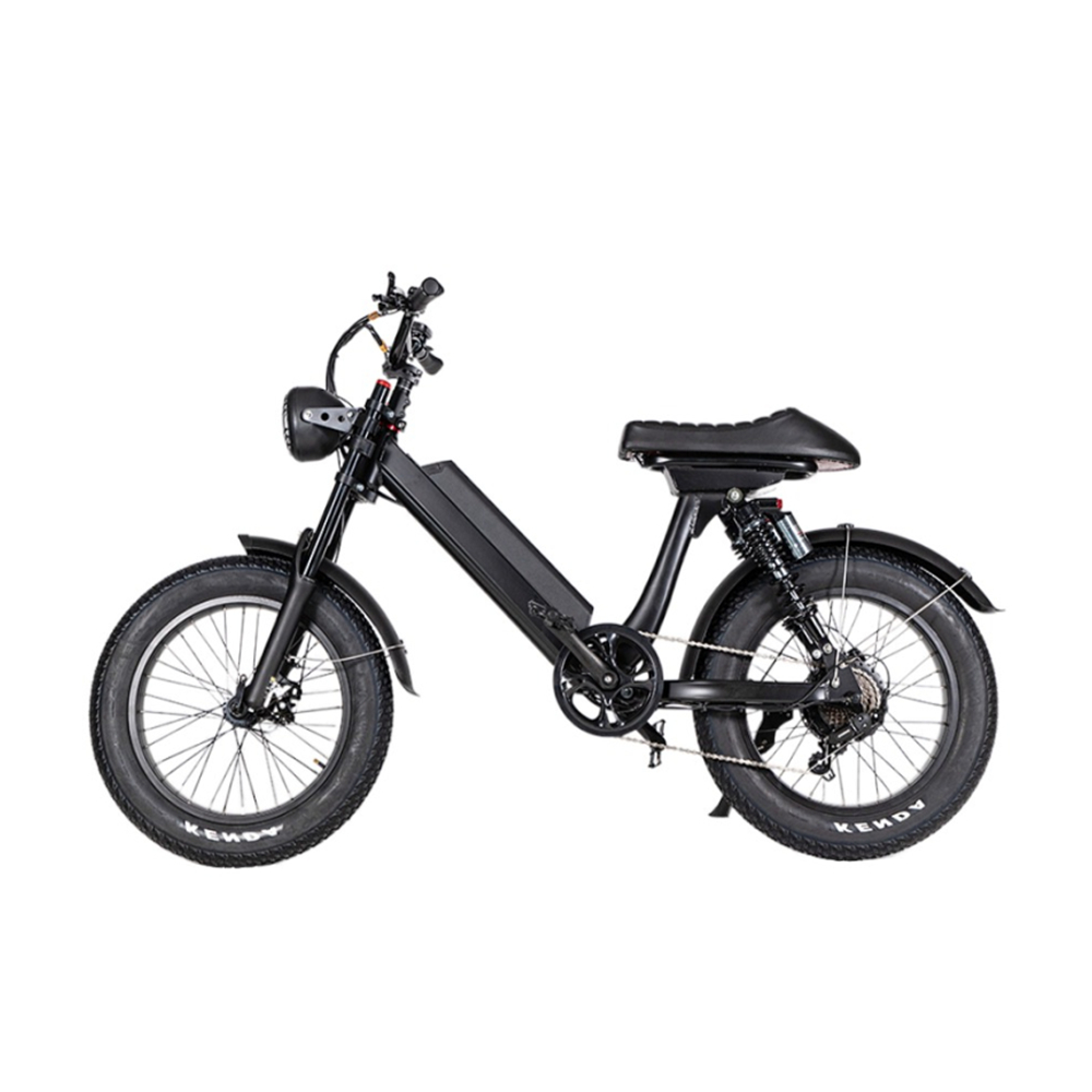 Fast Speed 20" Ebike Electric Bike /Aluminum Frame 500W 48V Electric Dirt Bike